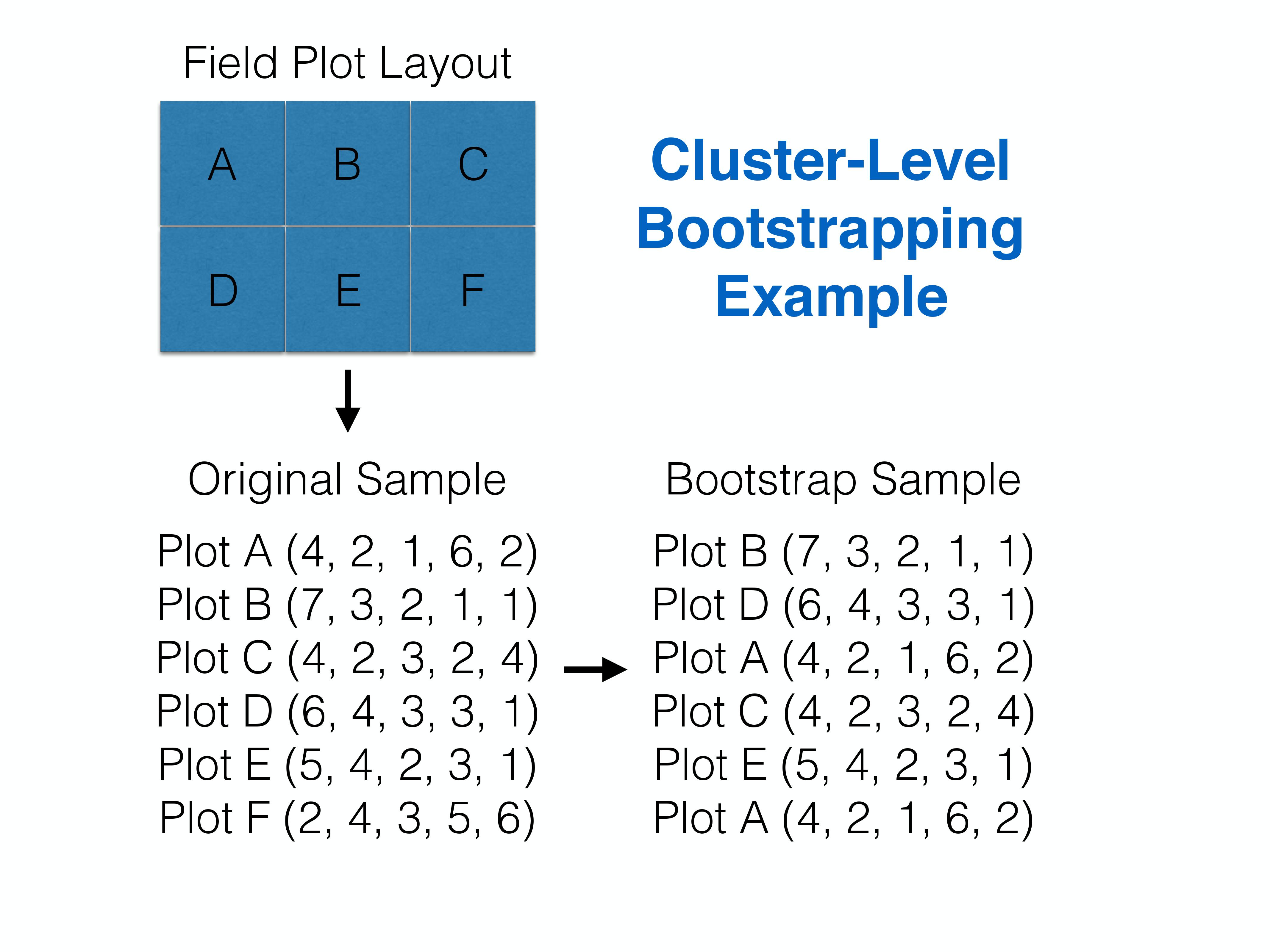 Cluster-level bootstrapping resamples whole clusters of observations with replacement. Figure constructed by Althea Archer, a former postdoc in the Fieberg lab.