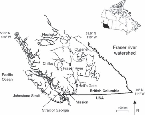 Map of Canada with an inset of the Fraser River Watershed of British Columbia from Cooke et al. (2009), published under a CC By 4.0 license. The number of salmon passing Mission is estimated using hydroacoustic counts.